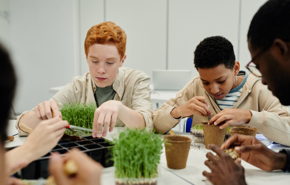 Nurturing Minds: Schools in Somerset, Calgary